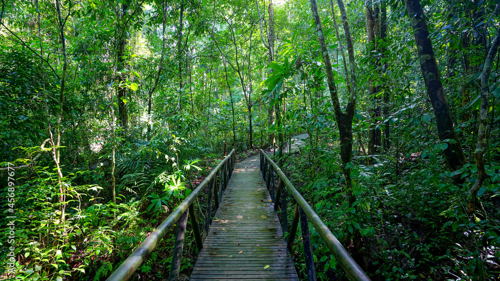Manuel Antonio National Park. Costa Rica Manuel Antonio National Park. Costa Rica