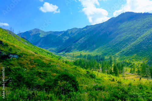 Picturesque beautiful valley in a mountainous area on a sunny day. © Dzmitry