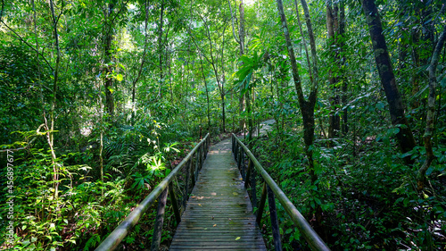 Manuel Antonio National Park. Costa Rica