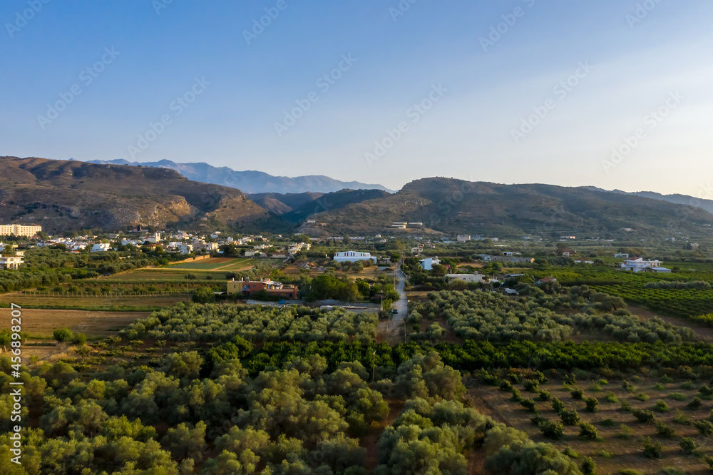 Naklejka premium Sunset landscape with olive trees and tiny mountains, Greece, Crete
