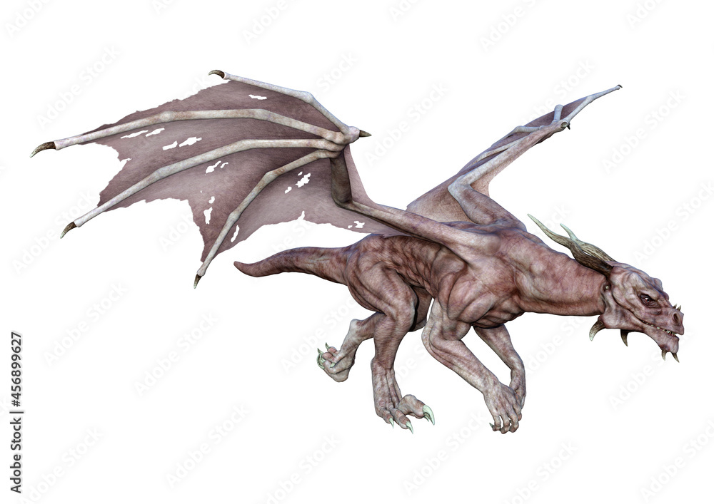 Fototapeta premium 3D Rendering Fairy Tale Dragon on White