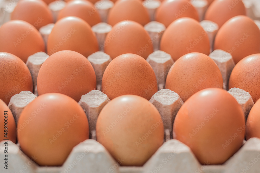 Raw chicken eggs in a cardboard tray, farm brown eggs background