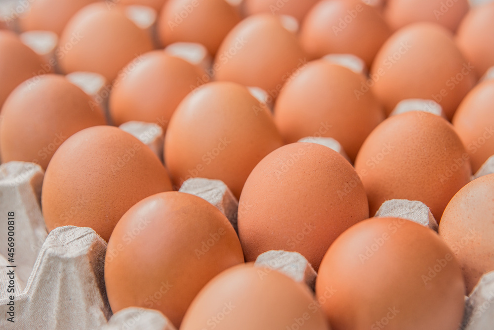 Raw chicken eggs in a cardboard tray, farm brown eggs background, soft focus Raw chicken eggs in a cardboard tray, farm brown eggs background, soft focus