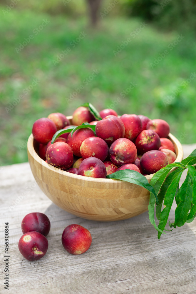 juicy ripe nectarines in a wooden bowl on the old rustic wooden table
juicy ripe nectarines in a wooden bowl on the old rustic wooden table