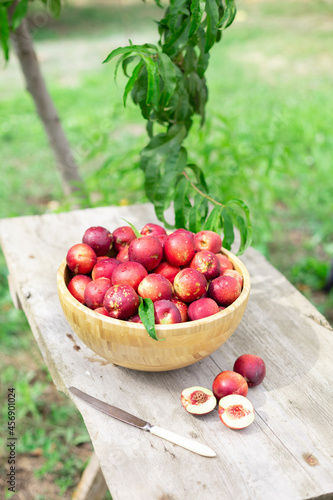 juicy ripe nectarines in a wooden bowl on the old rustic wooden table
