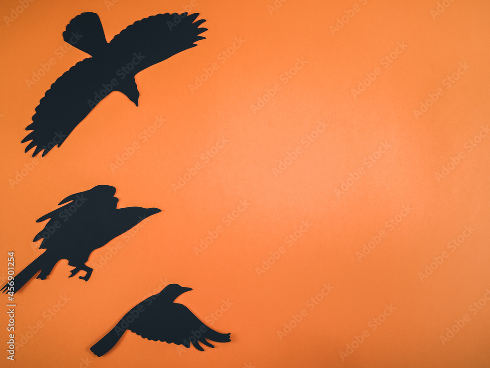 Naklejka premium Black crows with a witch on an orange background.