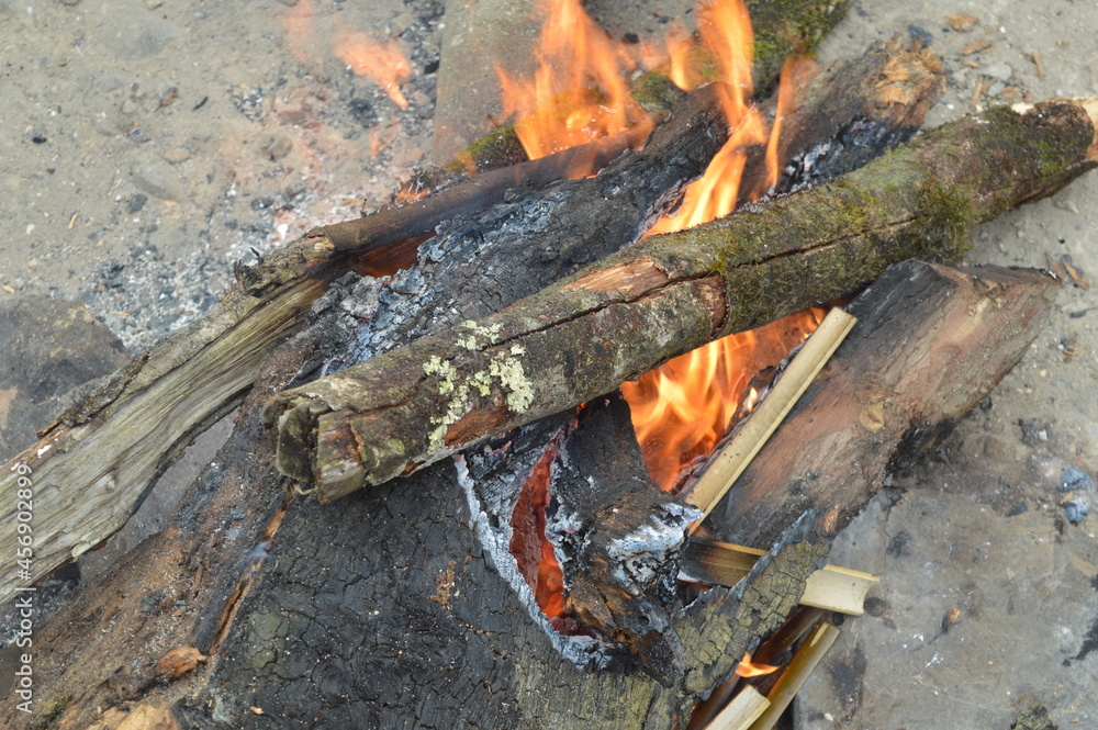 Burning tree trunks on the ground for heat during winter in Sapa, Vietnam Burning tree trunks on the ground for heat during winter in Sapa, Vietnam