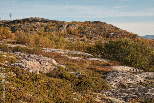 Russian tundra in spring, sunny weather