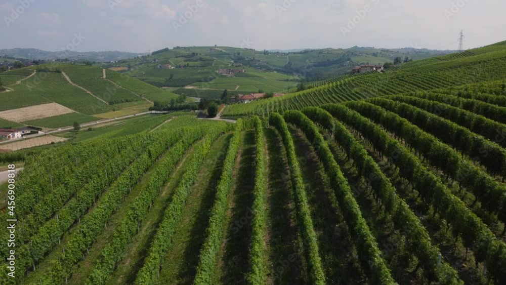 Barbaresco Vineyards Aerial 7 (4K ProRes) Barbaresco Vineyards Aerial 7 (4K ProRes)