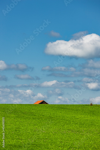 Allgäulandschaft mit Bauernhaus im Sommer