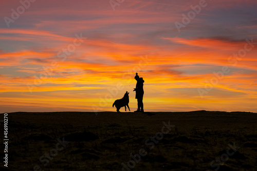 Dog getting a treat in sunset.