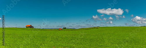 Allgäulandschaft mit Bauernhaus im Sommer