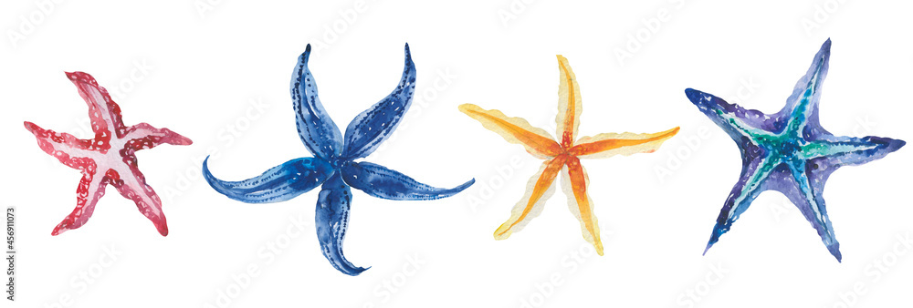 Watercolor Seaweeds. Hand drawn aquarium plants. Sea underwater edible algae. Watercolor Seaweeds. Hand drawn aquarium plants. Sea underwater edible algae.