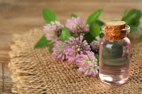 Beautiful clover flowers and bottle of essential oil on table, closeup. Space for text