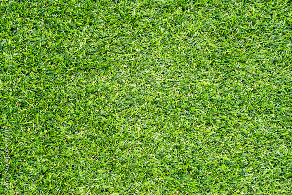 Fototapeta premium Green grass texture for background. Green lawn pattern and texture background.