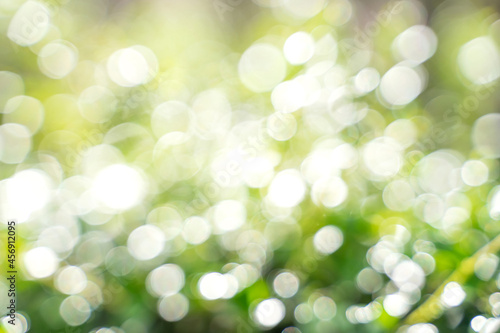 Bokeh leaf with sunlight, use for background.