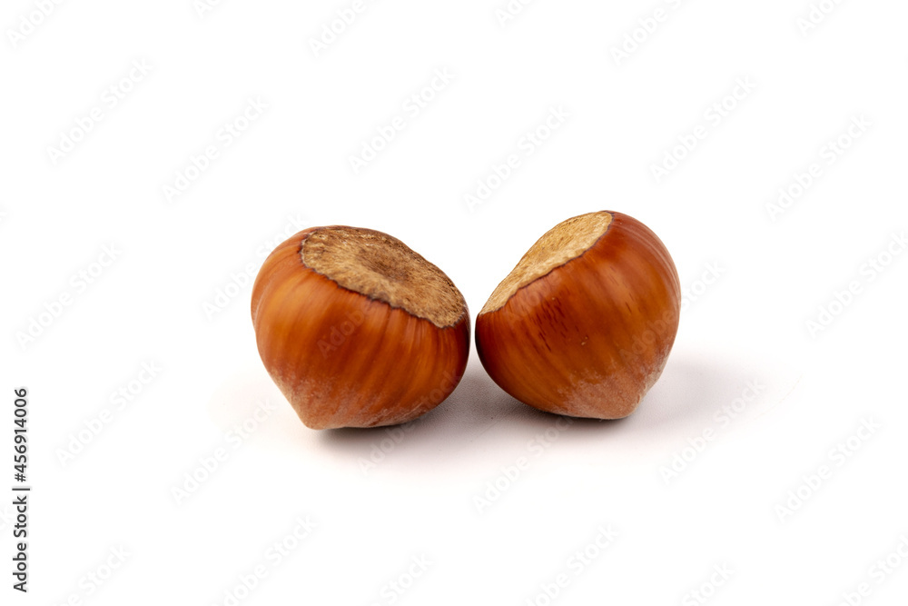 Group of hazelnuts, isolated on white background Group of hazelnuts, isolated on white background