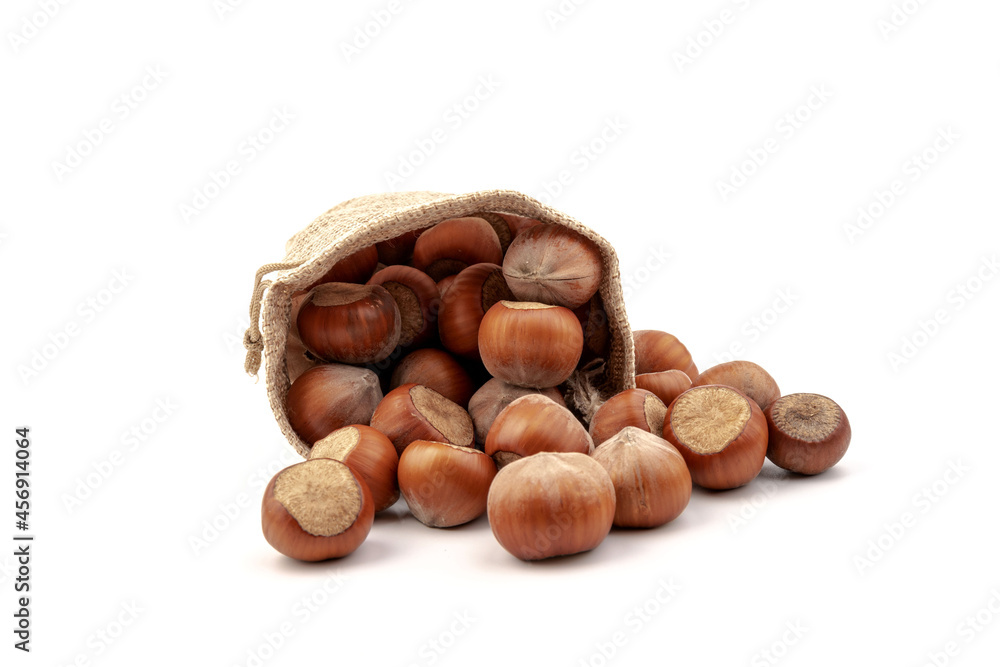 fresh hazelnuts in a canvas bag on white background fresh hazelnuts in a canvas bag on white background