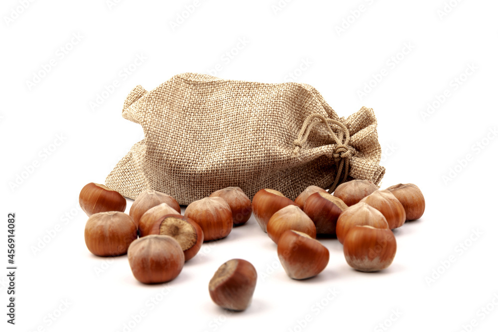 fresh hazelnuts in a canvas bag on white background fresh hazelnuts in a canvas bag on white background