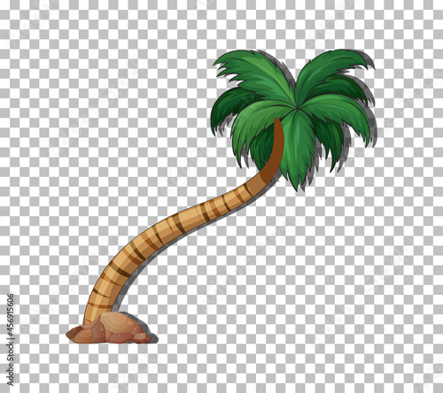 Palm tree on transparent background