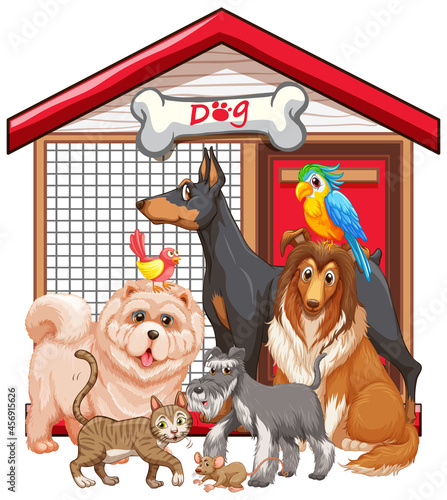 Group of pet on white background