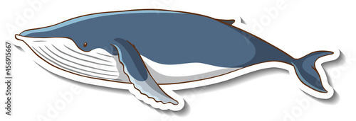 Sticker template with a whale cartoon character isolated