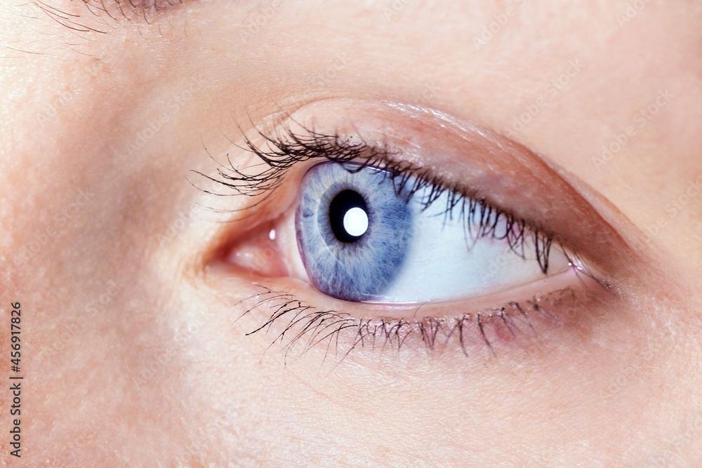 Fototapeta premium Beautiful woman blue eye. Macro eye