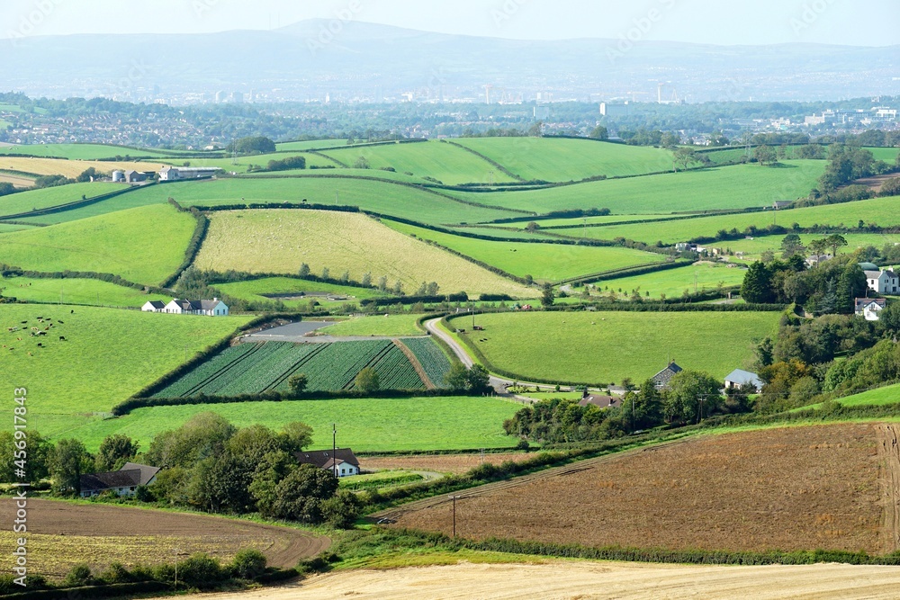 Countryside of Northern Ireland. Farms between rolling green hills and Belfast Hills in the background.