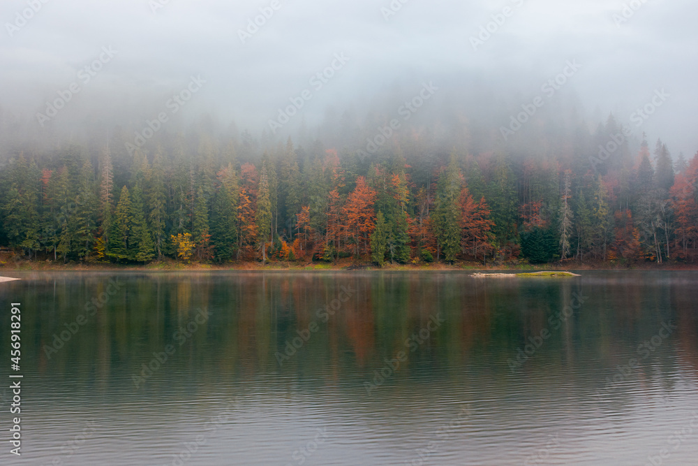 synevyr lake on a foggy morning. beautiful nature scenery of national park in autumn. mysterious atmosphere and cloudy sky. trees in colorful foliage reflecting in the water