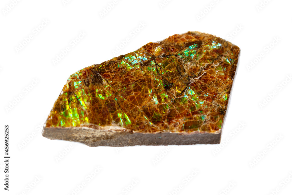 Macro of the mineral stone ammolite on white background Macro of the mineral stone ammolite on white background