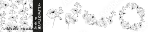 Set of different branches of orchid flowers, seamless pattern and circle frame on white background.