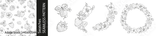 Set of different branches of strawberry berries, pattern and circle frame on white background.