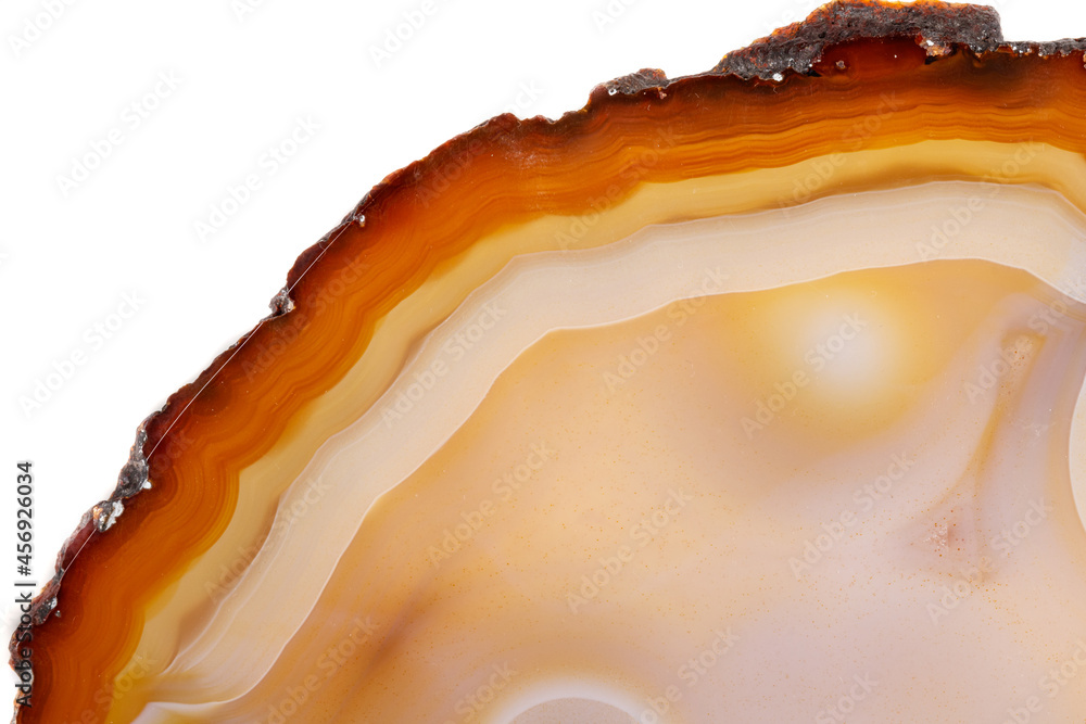 Macro mineral stone Yellow, brown Agate breed a white background close up Macro mineral stone Yellow, brown Agate breed a white background close up