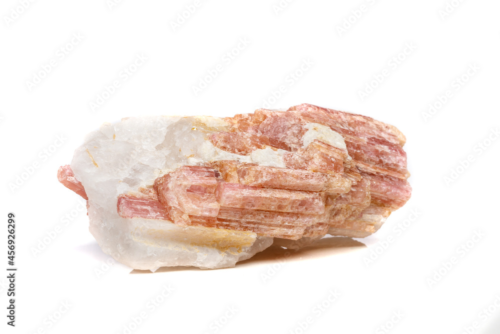 Macro mineral stone Tourmaline in the breed a white background Macro mineral stone Tourmaline in the breed a white background