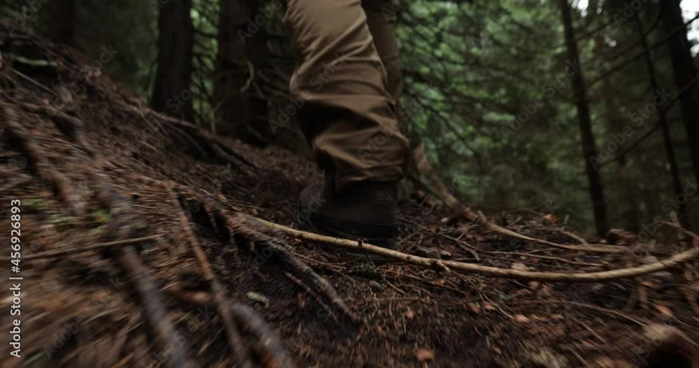 Hiker's feet walking in the mountain forest. Man walking in the woods trail. Feet in Hiking Boots Walking through the Mountain Forest. Walking through woodland. Low angle of a Young boy Hiker's feet walking in the mountain forest. Man walking in the woods trail. Feet in Hiking Boots Walking through the Mountain Forest. Walking through woodland. Low angle of a Young boy