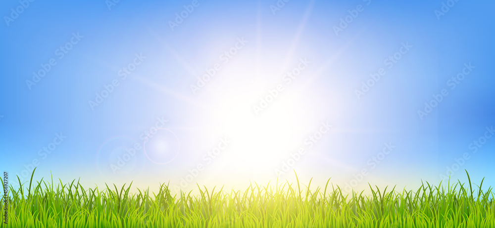 Beautiful spring or summer background illustration with green grass and sunrise landscape. Field under the sunlight. Realistic wallpaper for banner, poster, flyer. Image JPG