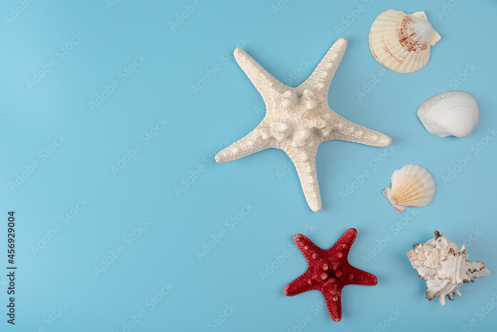 Starfish, seashells on a light blue background. Sea souvenirs Starfish, seashells on a light blue background. Sea souvenirs