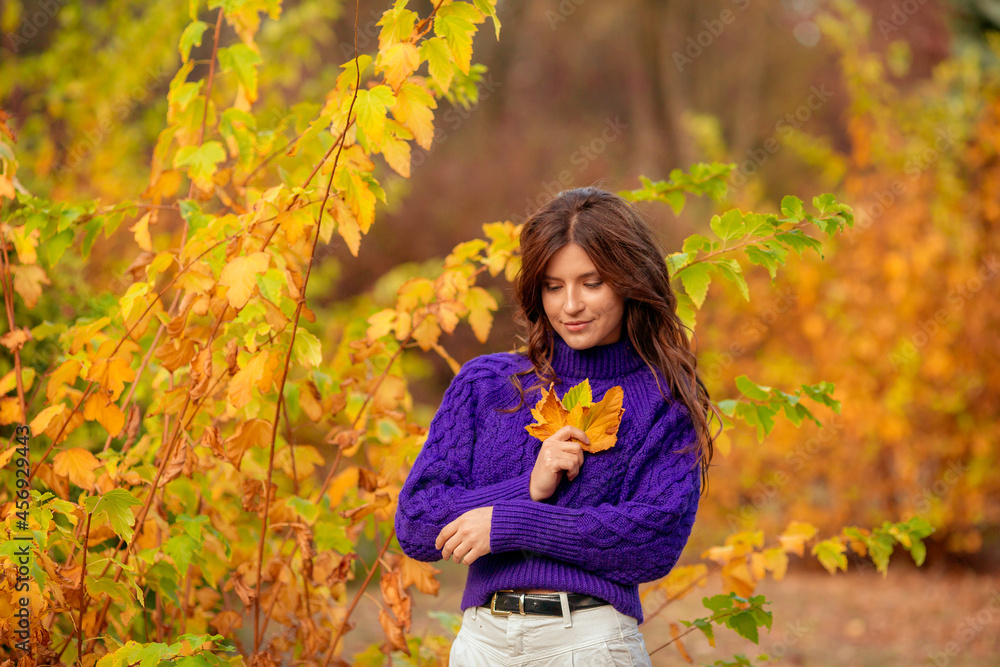 a young woman in an autumn park in a purple sweater a young woman in an autumn park in a purple sweater