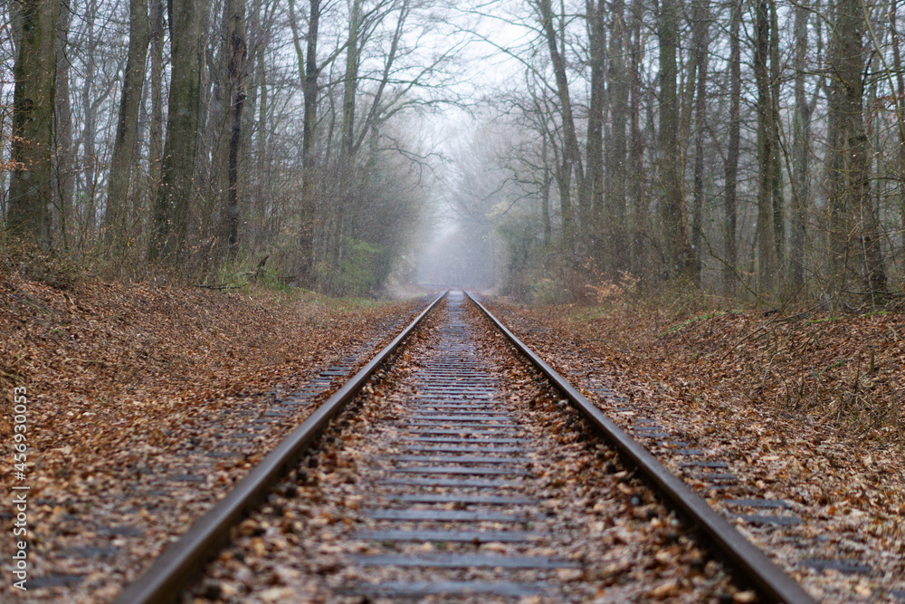 Bahngleise im Wald im Herbst mit leichtem Regen Bahngleise im Wald im Herbst mit leichtem Regen