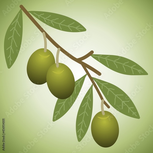Branche d'oliviers avec olives 