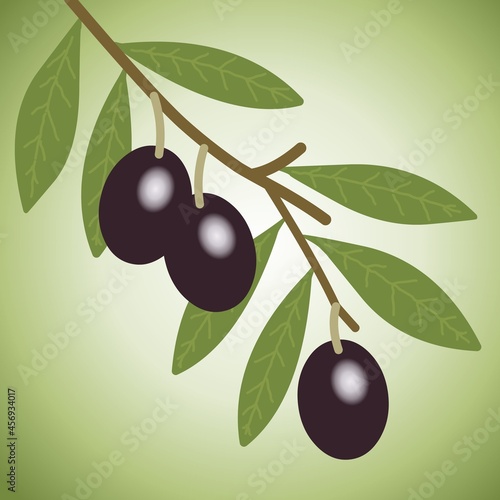 Branche d'oliviers avec olives 