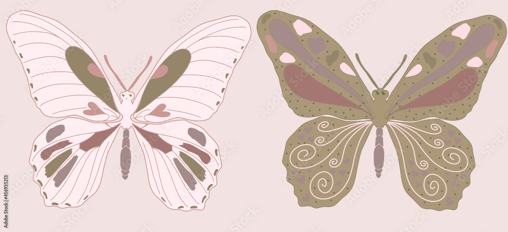 Fototapeta premium Ilustración vectorial editable de dos mariposas en tonalidades rosadas y verdes