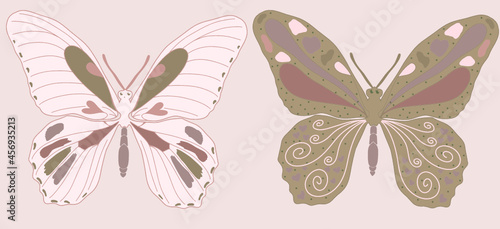Ilustración vectorial editable de dos mariposas en tonalidades rosadas y verdes