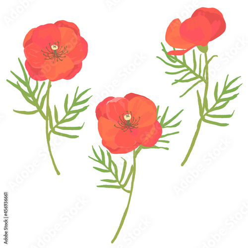 赤いポピーの花のベクターイラスト