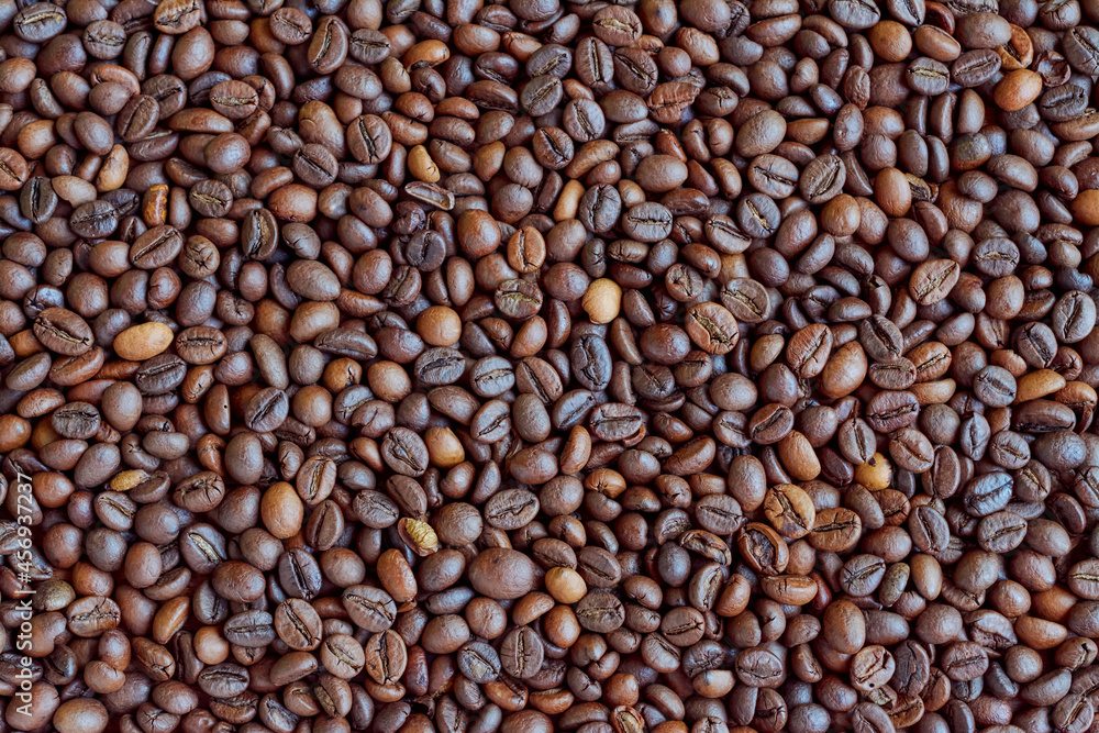 Background from a mixture of arabica and robusta coffee beans. Background from a mixture of arabica and robusta coffee beans.