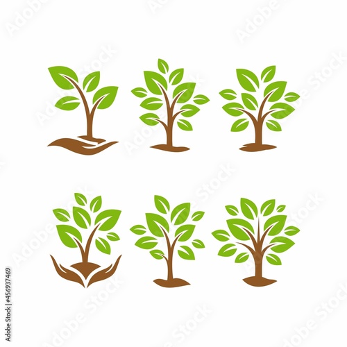 plants vector. tree. trees. leaf vector. tree vector. steam