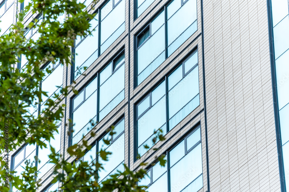 Obraz premium A fragment of the facade of a residential building with large windows against the background of tree branches