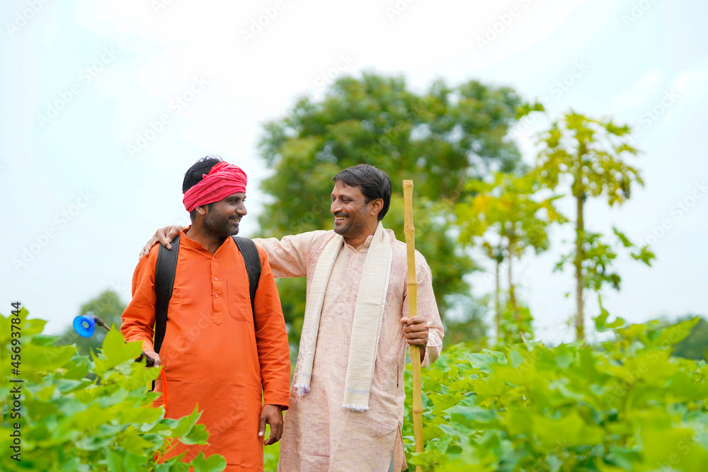 Two indian farmers working and discuss at green cotton field. Two indian farmers working and discuss at green cotton field.