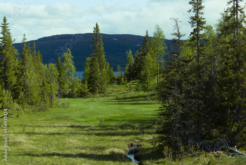 Peatbog and forest landscape.Lierne is a municipality in Trondelag county, Norway. It is part of the Namdalen region, and it is the largest municipality by area in Trondelag. The administrative centre