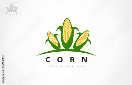 Ear of corn logo vector. Food design.
